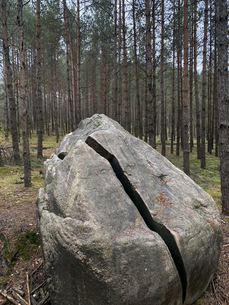 Žmogaus ir gamtos ryšys